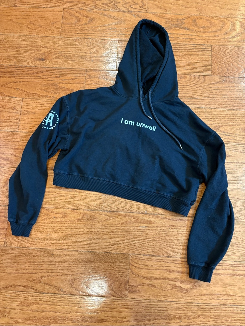Barstool Chicks “I Am Unwell” Cropped Hoodie | Call Her Daddy | Size Medium